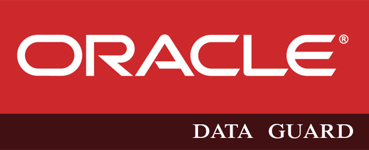 ORACLE DATA GUARD Training in Lucknow